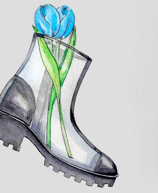 tavasz kék tulipán